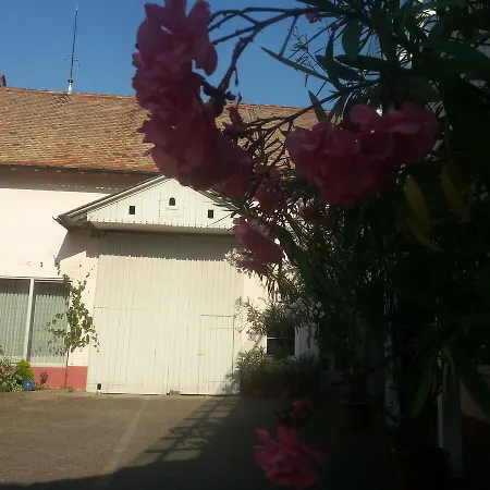 Gastehaus Schickert Han/Misafirhane Bechtheim