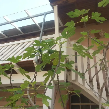 Gastehaus Schickert * Bechtheim